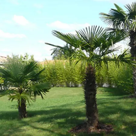 Le Temps Des Hotes 住宿加早餐酒店 韦尔图