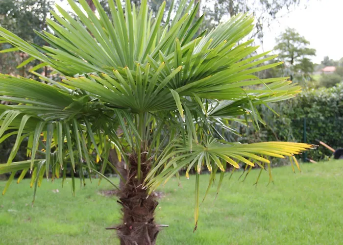 Oda ve Kahvaltı Le Temps Des Hotes 3*