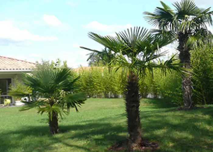 Le Temps Des Hotes Oda ve Kahvaltı Vertou