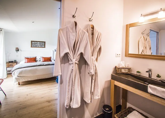 Le Temps Des Hotes 3* Vertou